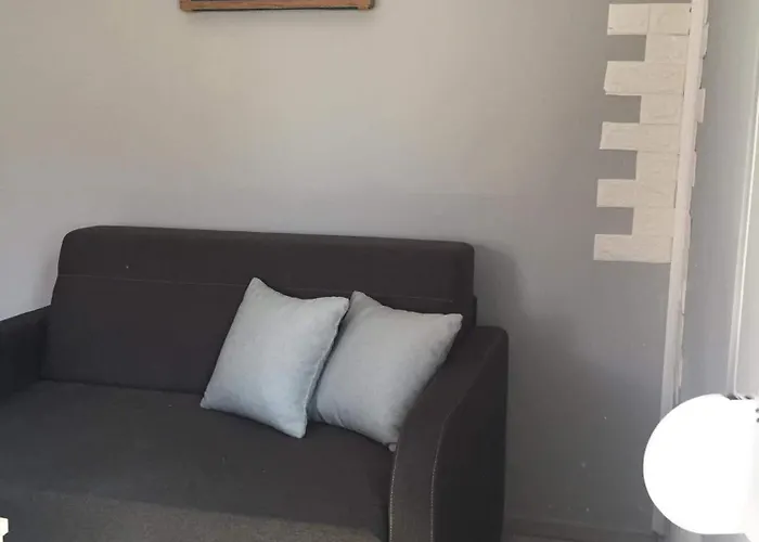 Chana's يميناريا